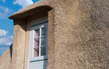 Pentrebane thatch roof disadvantages