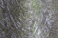 Pentrebane fibreglass roof work